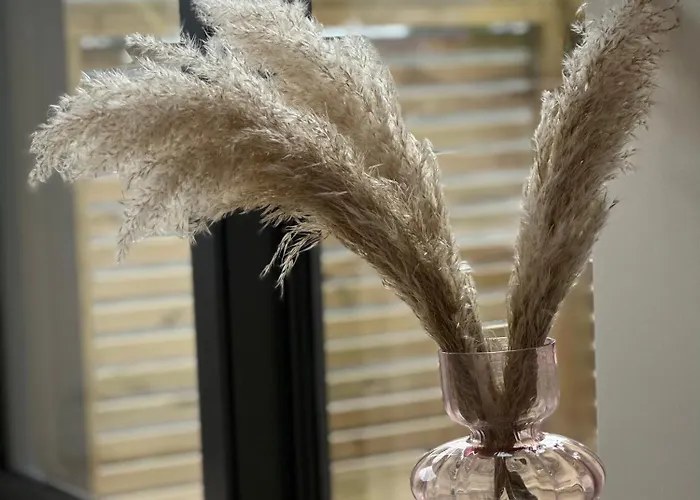 Skagesund With Free Parking 3* Tromsø